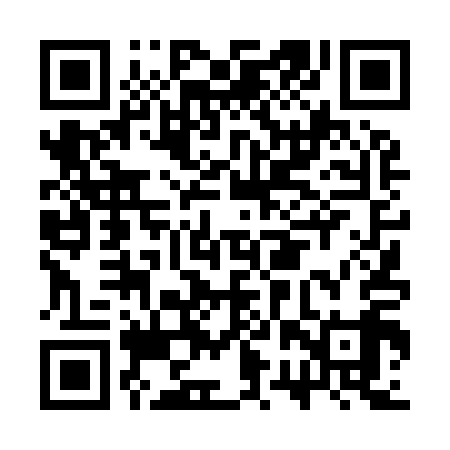 QR code for CRT919