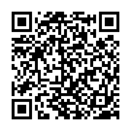 QR code for CSE533