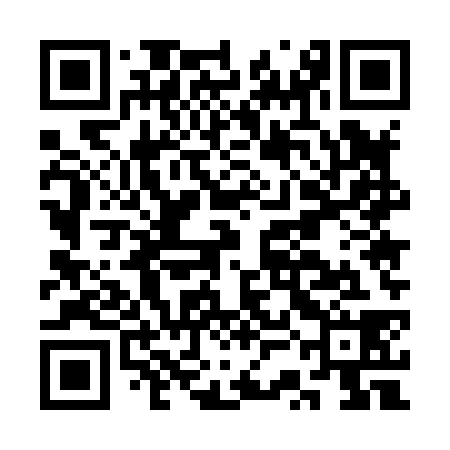 QR code for CSE838