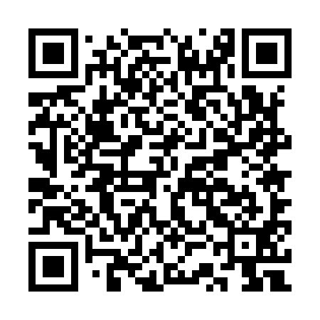 QR code for CSE991