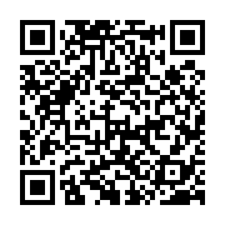 QR code for CSF538