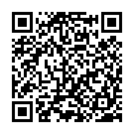 QR code for CSI494