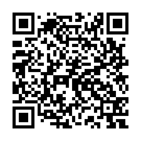 QR code for CSS133