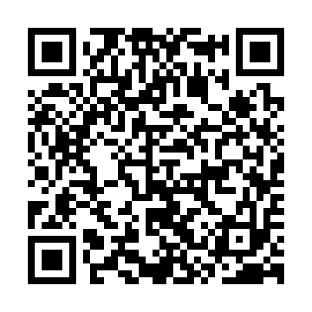QR code for CSS313