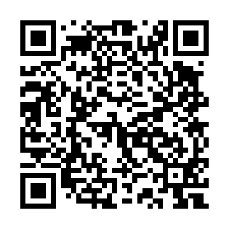 QR code for CSS491