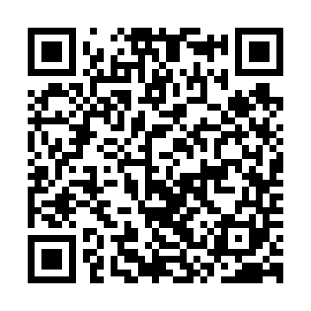QR code for CSS641