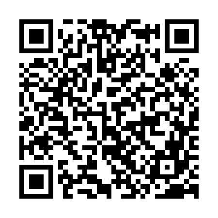 QR code for CSS866