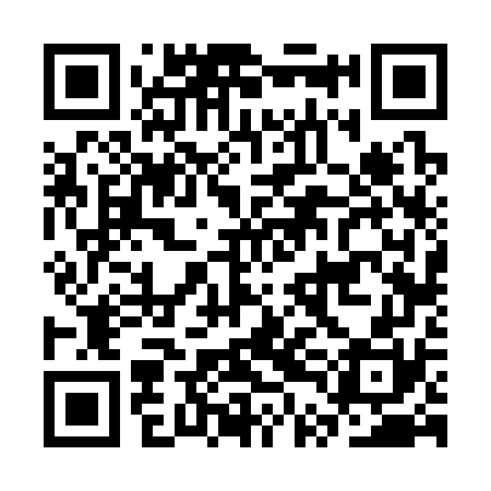 QR code for CTF370