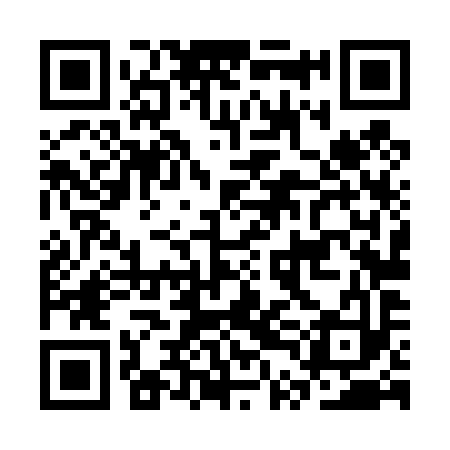 QR code for CTL493