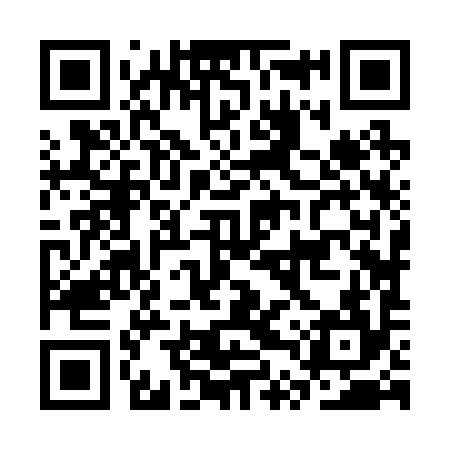 QR code for CTZ294