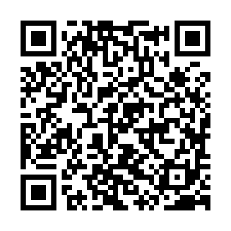 QR code for CTZ991