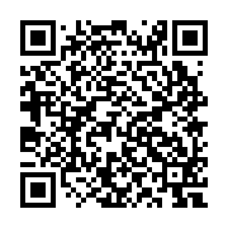QR code for CYA393