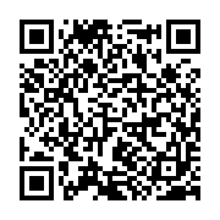 QR code for CYE993