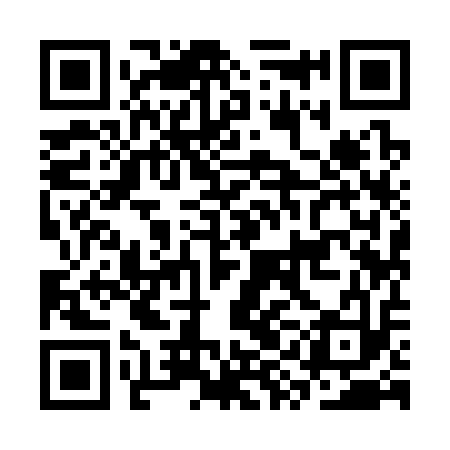 QR code for CYI313