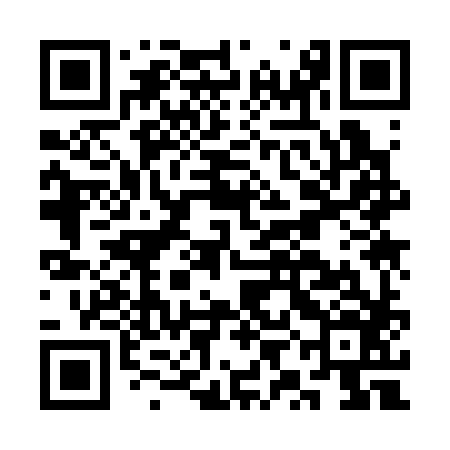 QR code for CYK386