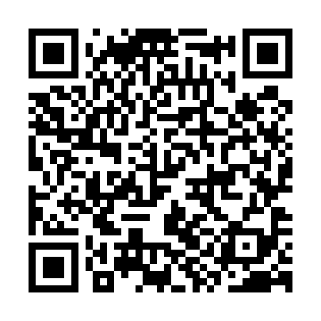 QR code for CYO599