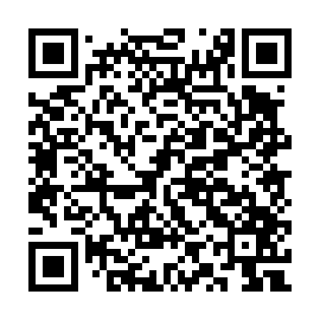 QR code for CYP447