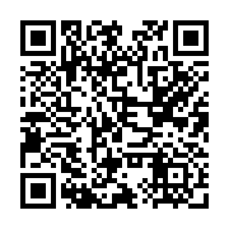 QR code for CYX333
