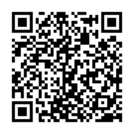 QR code for CYX538