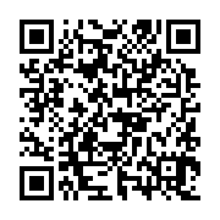 QR code for CZD385