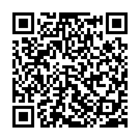 QR code for CZE399