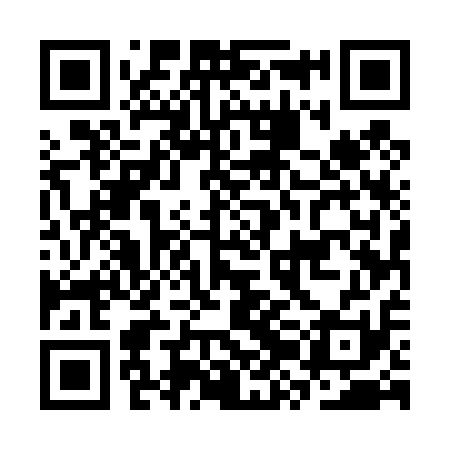 QR code for CZE411