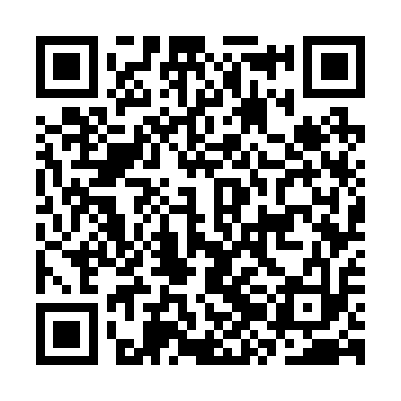 QR code for CZG213