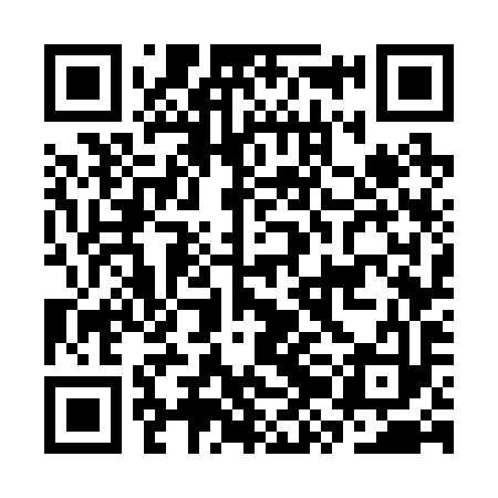 QR code for CZG293