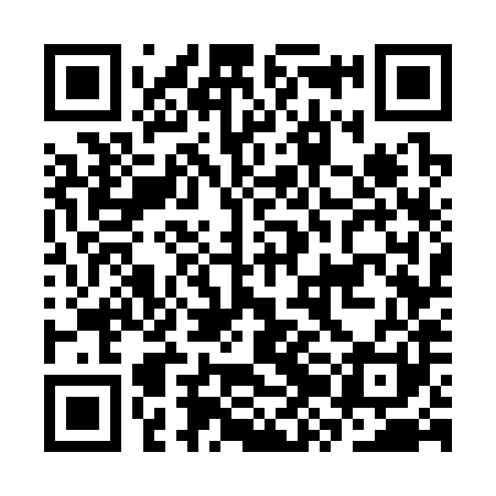 QR code for CZG381