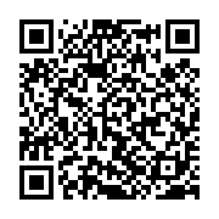 QR code for CZG491