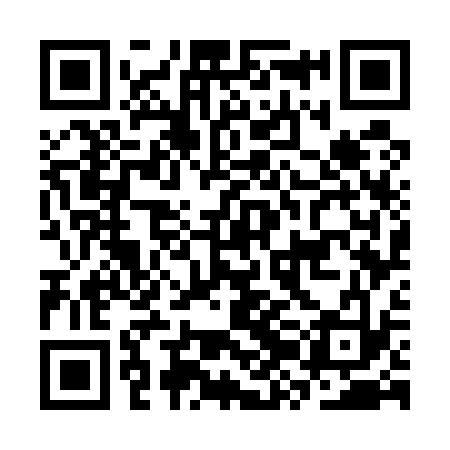QR code for CZG533