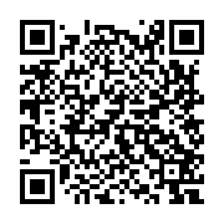 QR code for CZG903