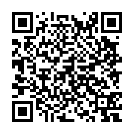 QR code for CZH030