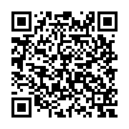 QR code for CZH113
