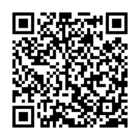 QR code for CZH411