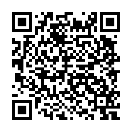 QR code for CZH417