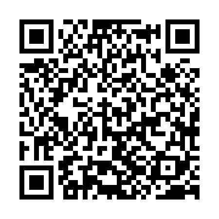 QR code for CZH869
