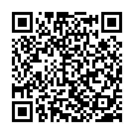 QR code for CZI119