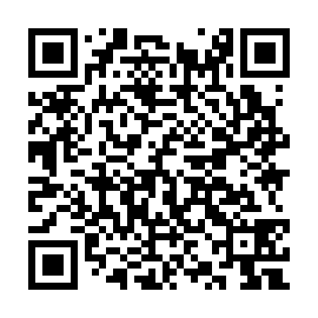 QR code for CZI338