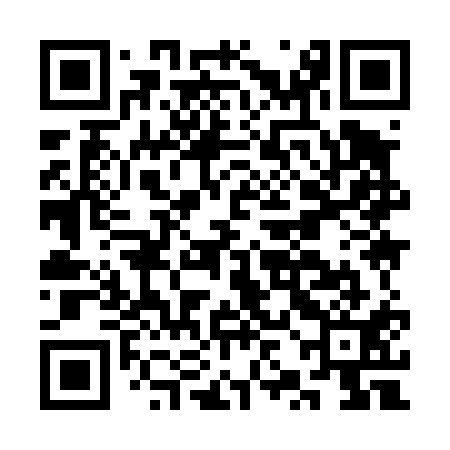 QR code for CZI411