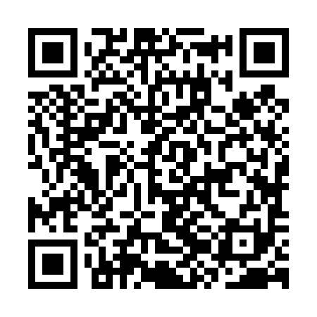 QR code for CZJ491