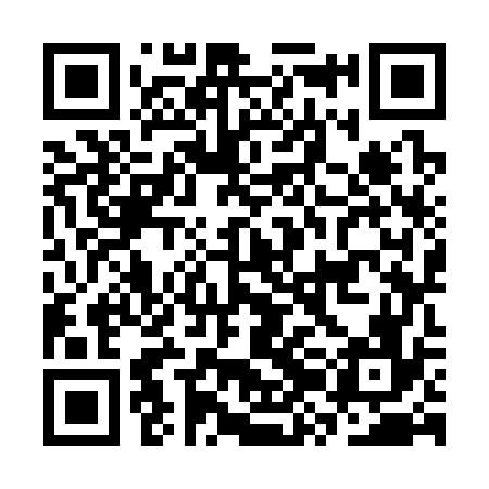 QR code for CZK376