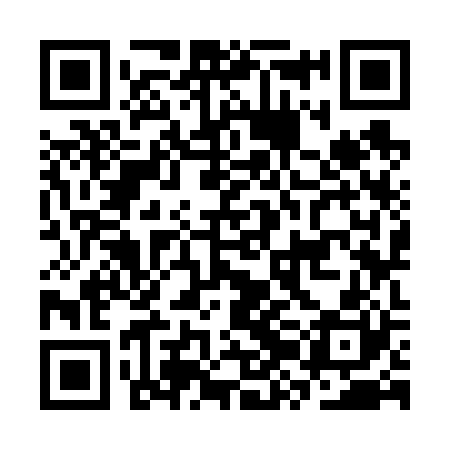 QR code for CZK620