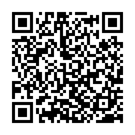 QR code for CZL203