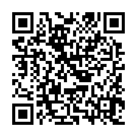 QR code for CZL384