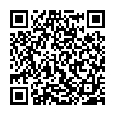 QR code for CZM313