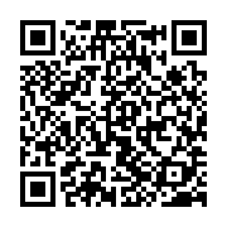 QR code for CZM389