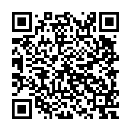 QR code for CZM493