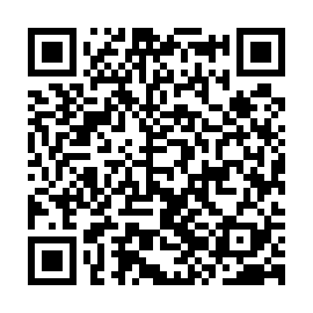 QR code for CZM529