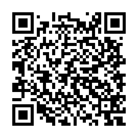 QR code for CZN519